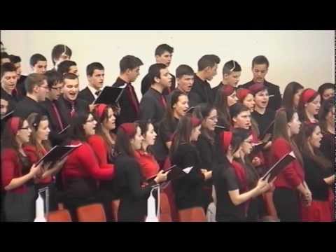 Cor de tineri ELIM Viena - Aleluia Rege-al regiilor