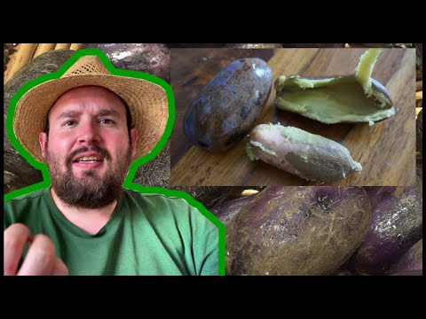 Ich probiere Safu | Flol 2