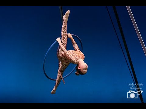 Emilia - Lyra Novice A 2nd Place  - 2019 Florida Pole Fitness Championship