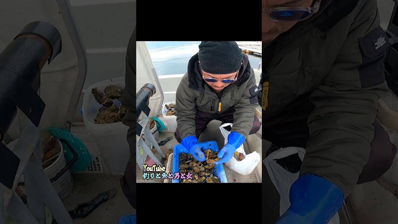 #釣りと魚と男と女#shorts#vol356ハイライト