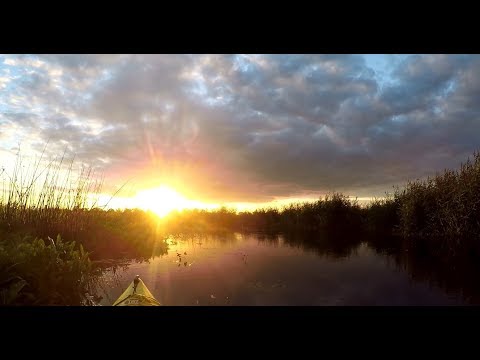 Spływ Kajakowy Biebrzą 2017r. Lipsk - Goniądz