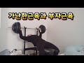 가난한근육과 부자근육