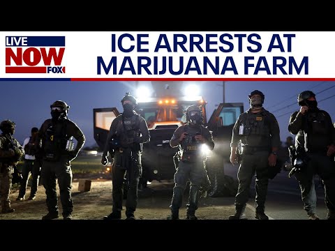 Video | CA farm ICE raid: 200 arrested, children rescued from alleged forced labor, DHS says