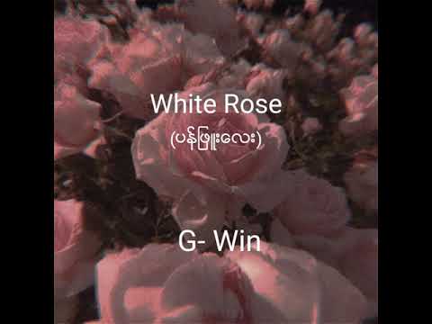 ပန္းျဖဴေလး (White Rose) --G-Win --New Songs myanmar. (lyrics)