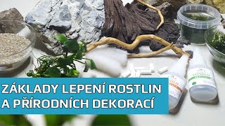 Basics of gluing plants and natural decorations | SURPAN.cz