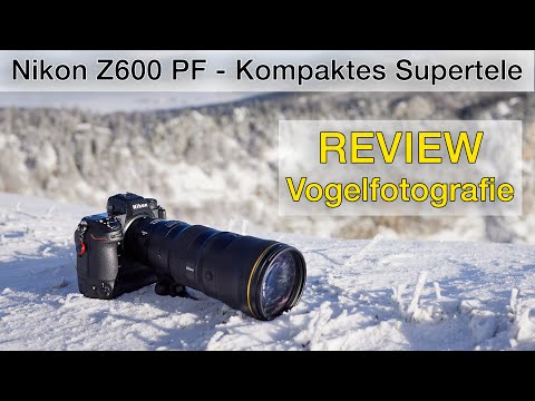Many have been waiting for this! Nikon Z 600mm f/6.3 PF (REVIEW)
