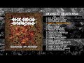 SICK SINUS SYNDROME SWARMING OF SICKNESS 2023 Full Album Stream