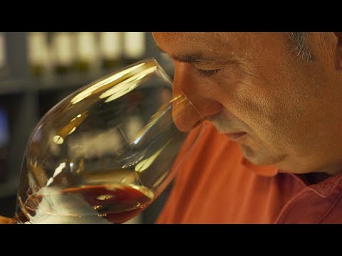 Weinland Spanien: Rioja, Sherry und Cava!