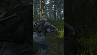DayZ2kill