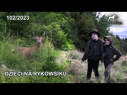 SUDECKA OSTOJA 102/2023 Dzieci na rykowisku 2023