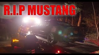 I BLEW IT UP..... (Blown Cobra Mustang Vlog)