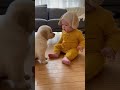 Baby Gets Mad… Dog Gives a Hug 💛