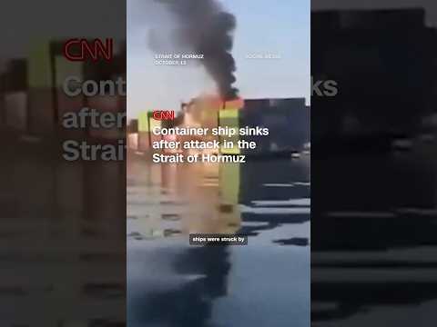 Container ship sinks after attack in the Strait of Hormuz