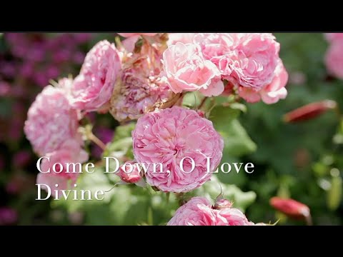 257 SDA Hymn -  Come Down, O Love Divine  (Singing w/ Lyrics)