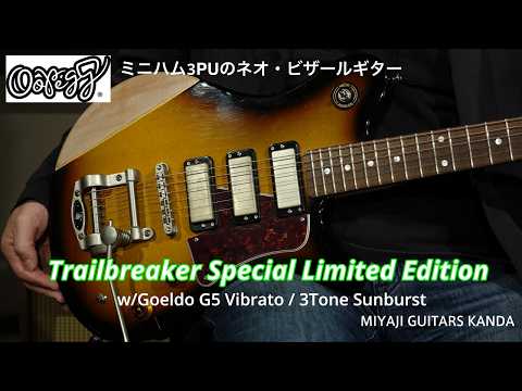 Oopegg Trailbreaker Special Limited Edition w/Goeldo G5 image 11