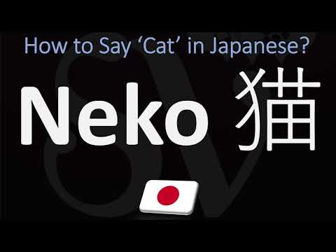 How to Pronounce Neko? | How to Say 'CAT' in Japanese?