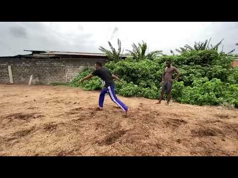 THE JET LI OF AFRICA J LEO