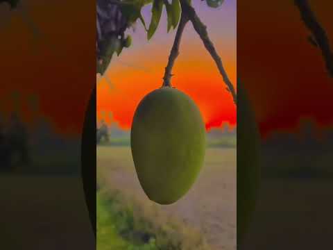 #farming pratap editing#