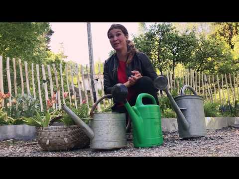 Gödselvatten - gör 3 gratis näringslösningar gödslar i din trädgård . Odla grönsaker och blommor