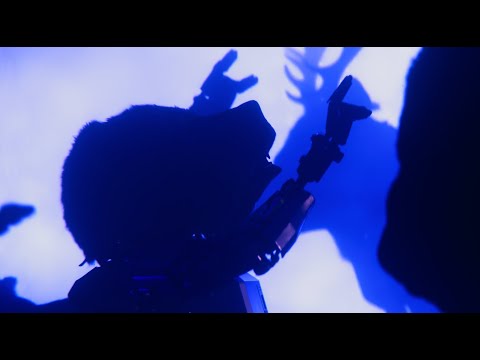 Bye Bear (Short Film) - Trailer