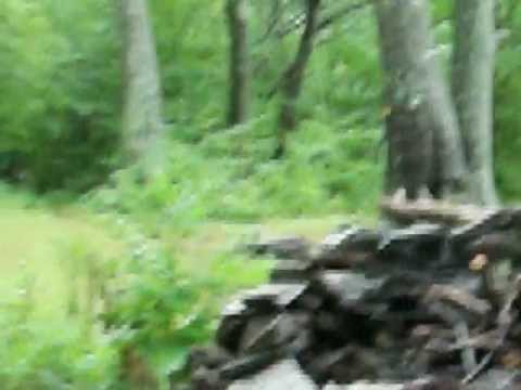 Echo Lake,Overlook Mountain,Woodstock NY.