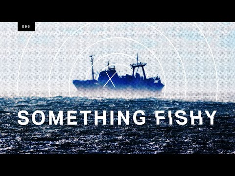 Who owns the boats looting the high seas?