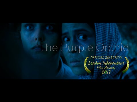 The Purple Orchid Trailer