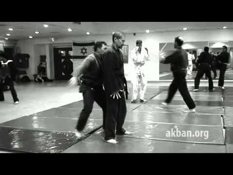 Saketsu no kata   1st level Gyokko ryu for Akban wiki