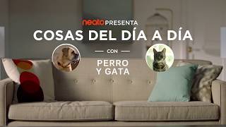  CornerClever SPOT (Spanish)