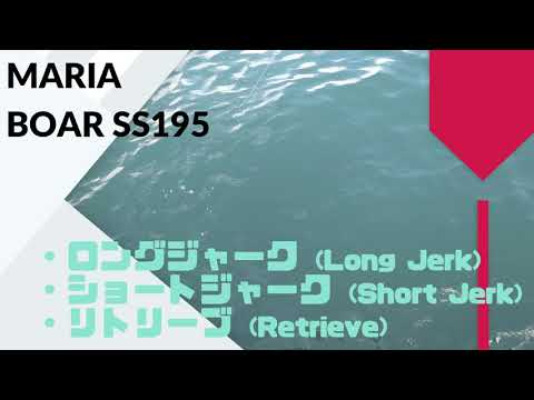 MARIA BOAR SS195 Reviews,Action,Swimming.