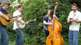 Billy in the Lowground (Audio) - New Augusta Bluegrass Band
