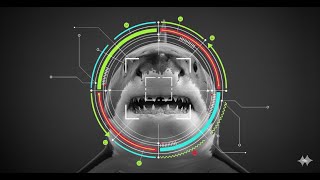 Grok Prompt Engineering in 60 Seconds