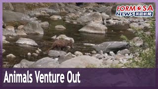 民視英語新聞 民視英語新聞