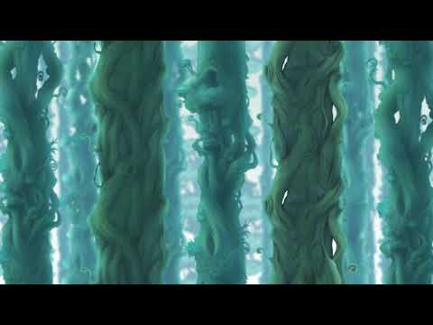 Best VGM 2181 - MapleStory - Ellin Forest