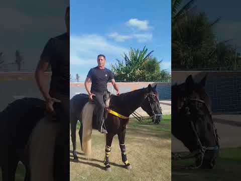 Nilsinho Aboiador Araruna PB