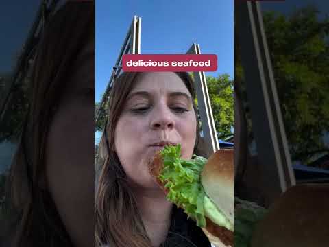 You should 🚫"NOT"🚫 visit Hamburg, Germany if you...!! 😉