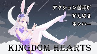 [キングダムハーツ]ちょっと飛んでアグラバー！[ネタバレあり]