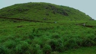Ponmudi  - a green land 