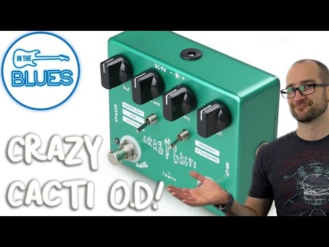 Caline CP-20 Crazy Cacti Overdrive Effects Pedal image 6