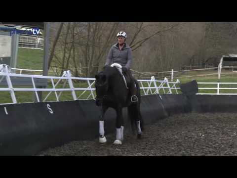 Losgelassenheit erhalten, auch wenn es schwieriger wird - so klappt's | Uta Gräf