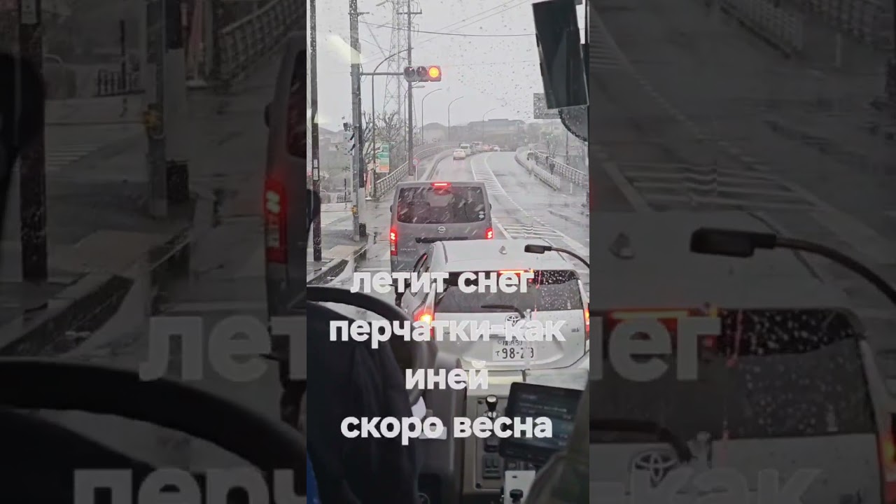 А после снега будет сакура. #auction #automobile #автопрогулка #mycar #bus