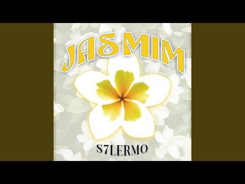 Jasmim