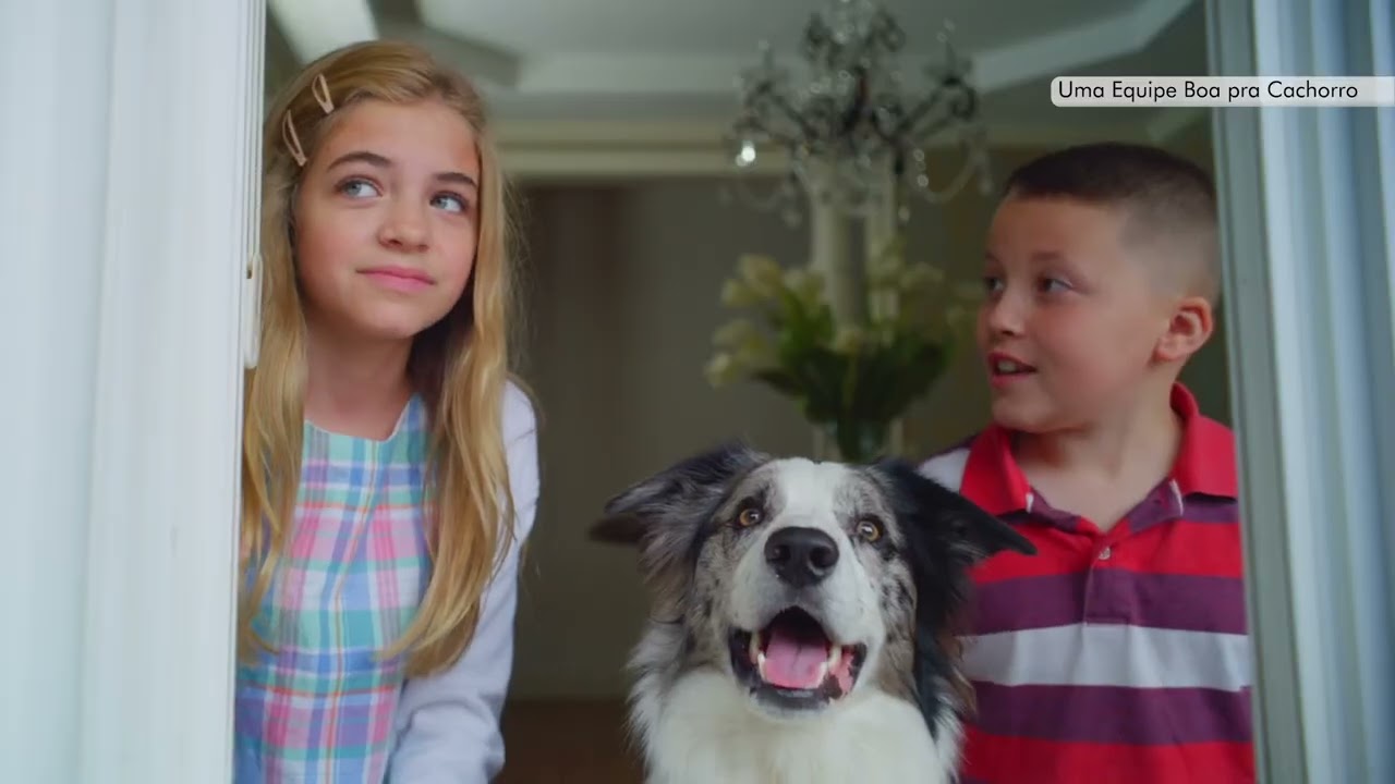 Trailer oficial de Uma Equipe Boa pra Cachorro
