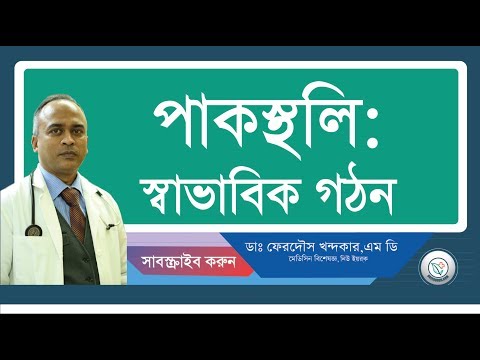 পাকস্থলি:: স্বাভাবিক গঠন