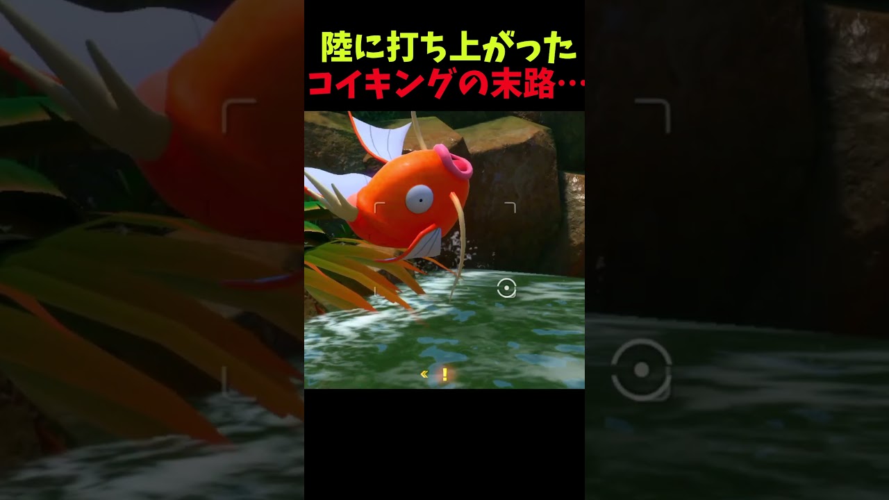 陸に打ち上がったコイキングの末路が…【New ポケモンスナップ】#ポケモン  #shorts