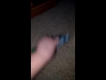 Brennan White S Blues Clues VHS Collection