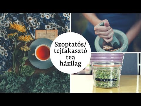 féregkészítmények szoptatáshoz