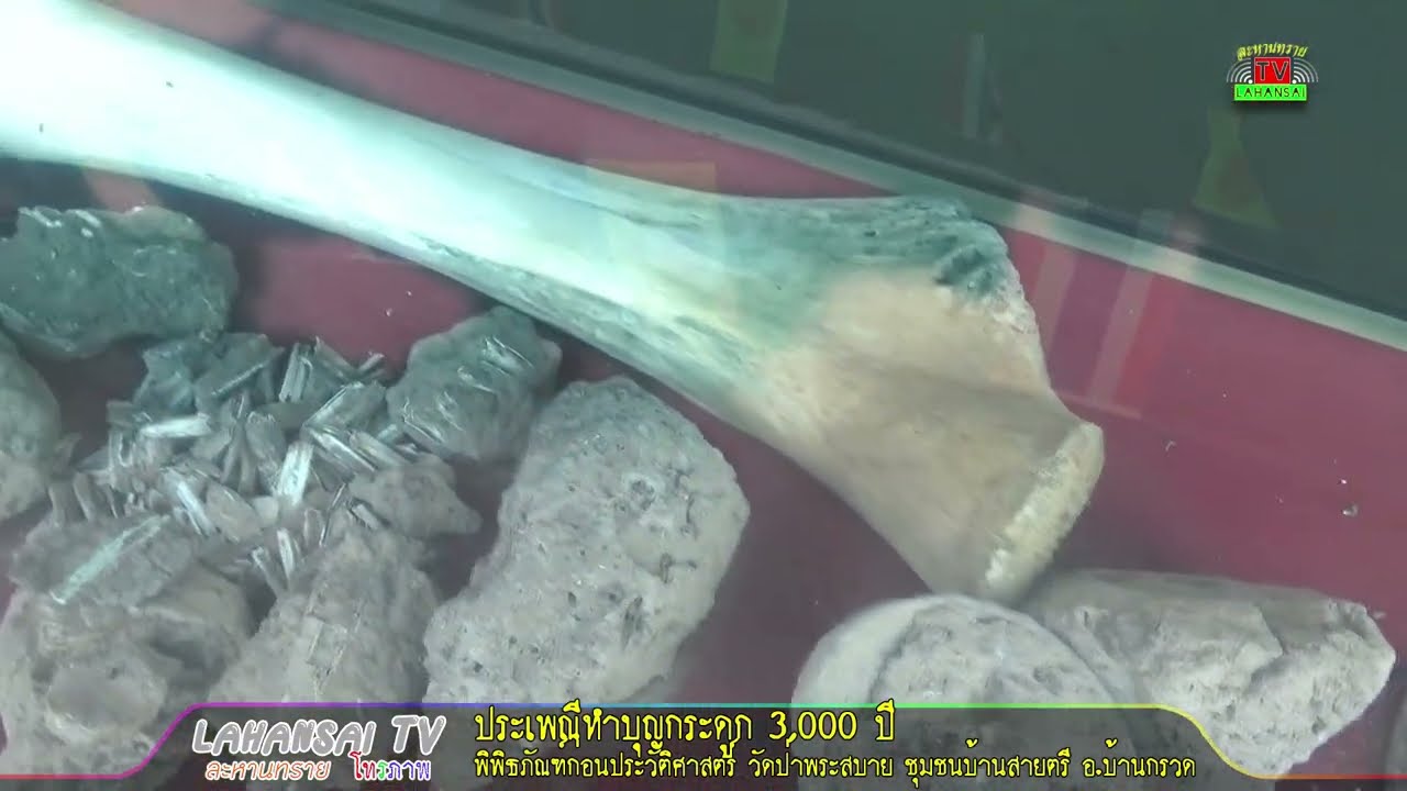 วัดป่าพระสบาย