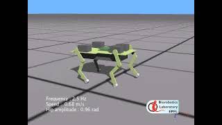 Cheetah-cub robot, simulation model at increasing locomotion frequency