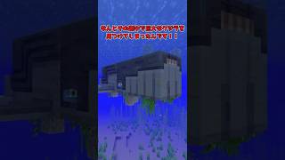この「クジラ」、船になる。【マイクラ】